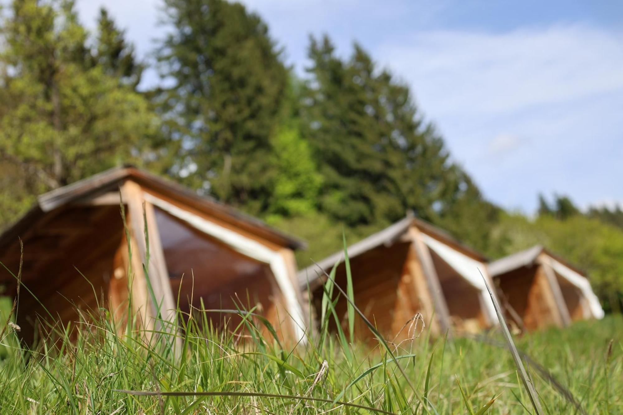 Mountain View Glamping Dovje Exterior foto