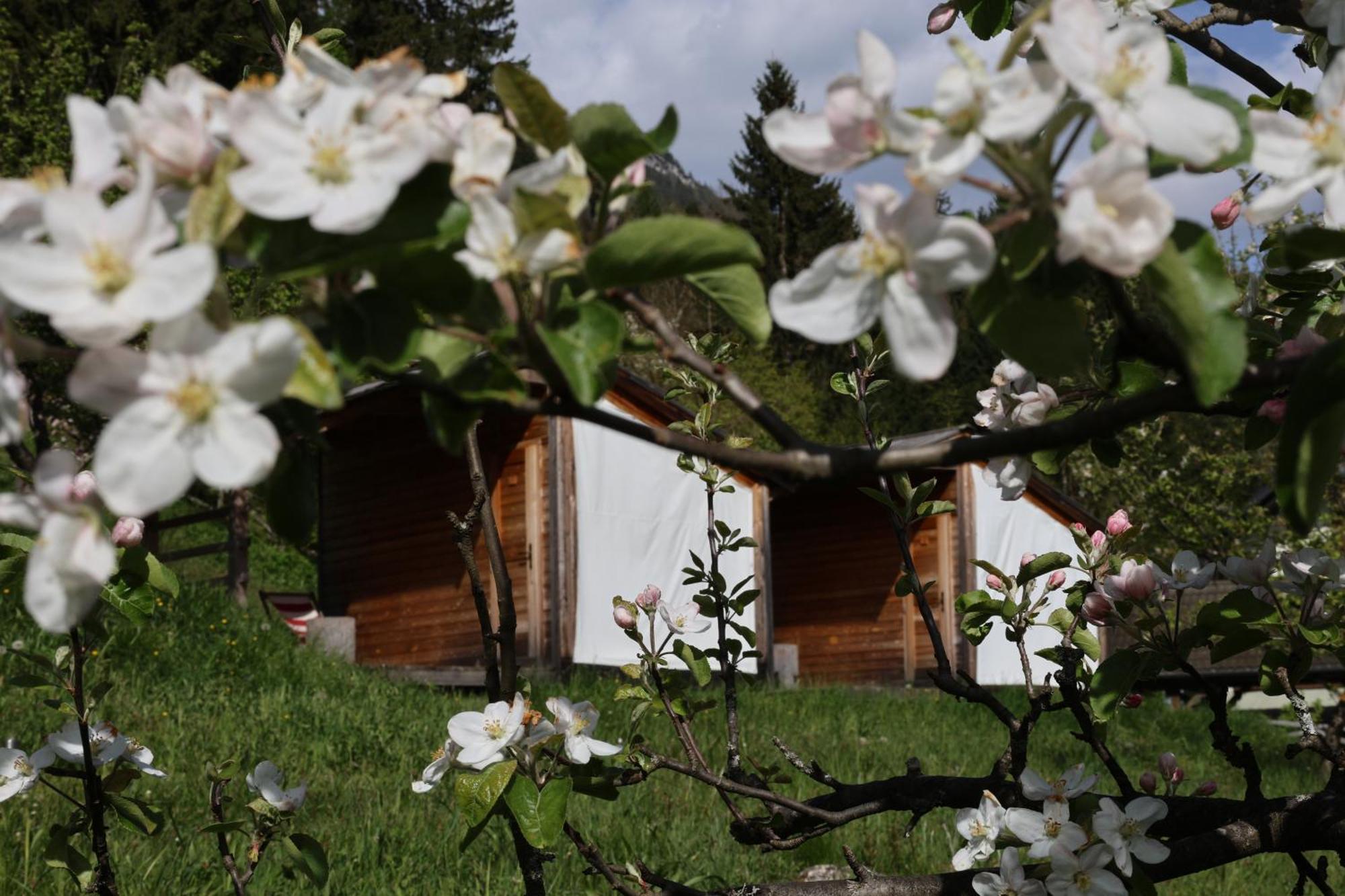 Mountain View Glamping Dovje Exterior foto