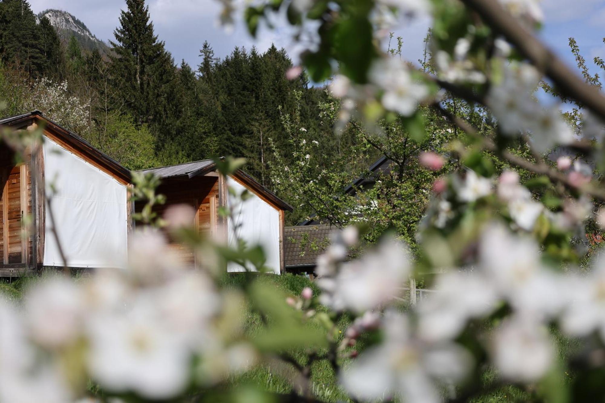 Mountain View Glamping Dovje Exterior foto