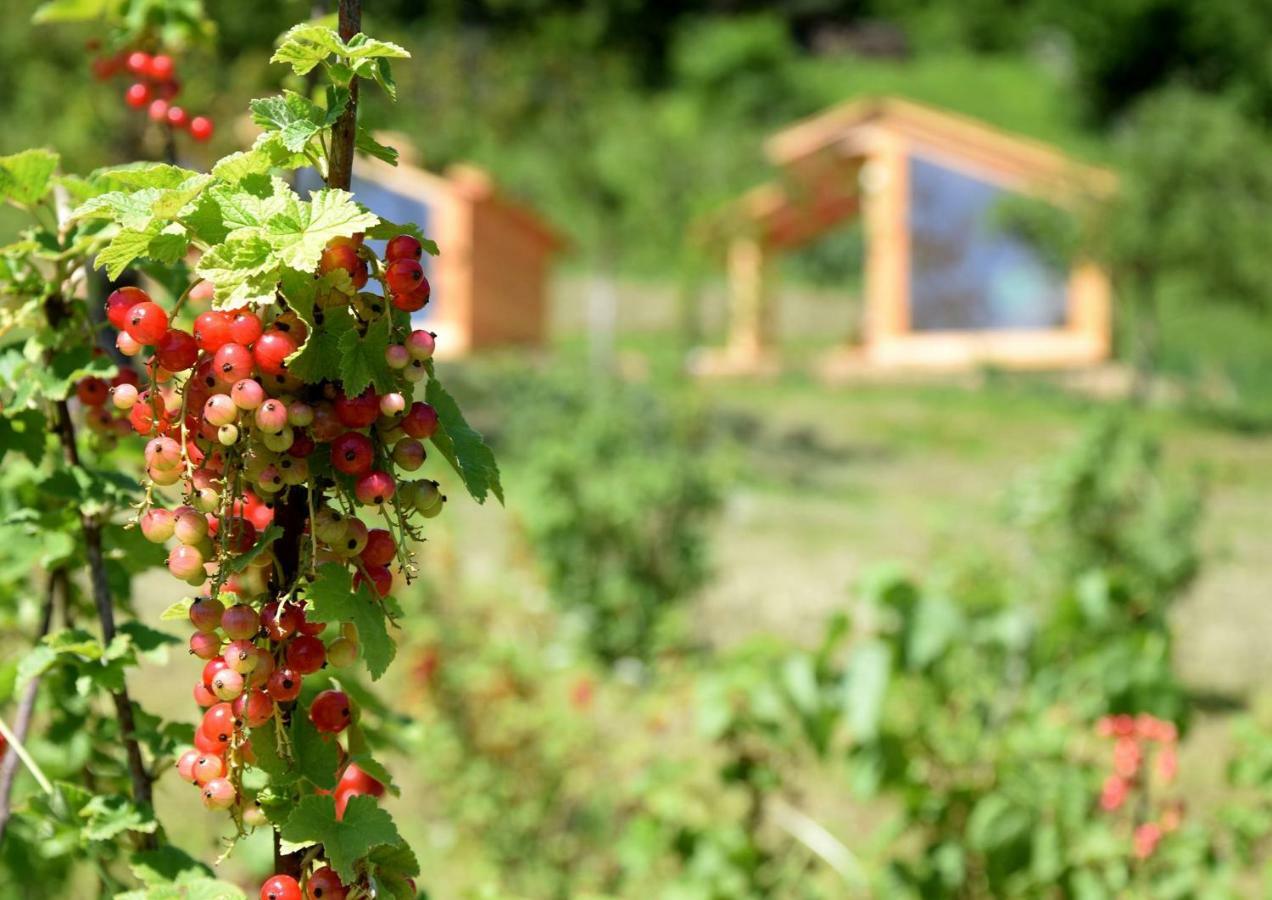 Mountain View Glamping Dovje Exterior foto
