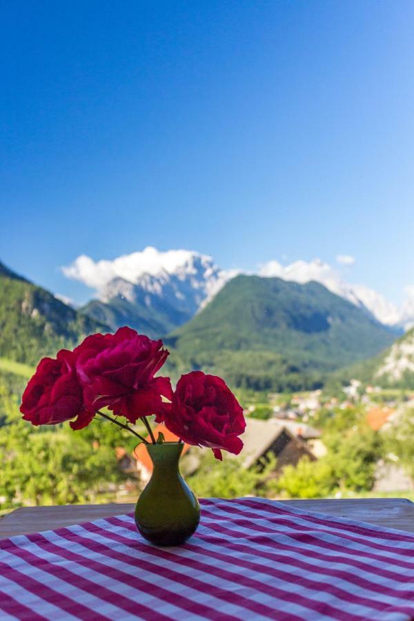 Mountain View Glamping Dovje Exterior foto