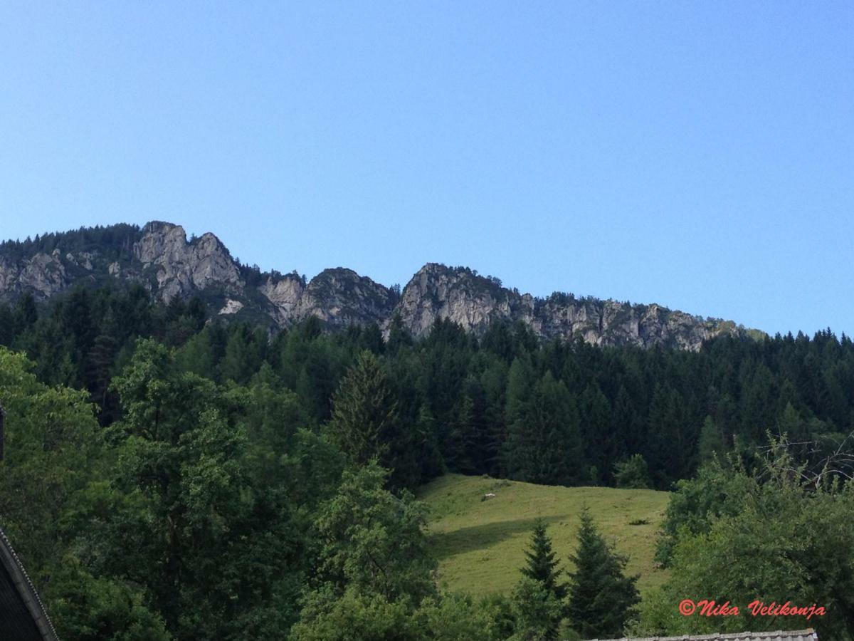 Mountain View Glamping Dovje Exterior foto