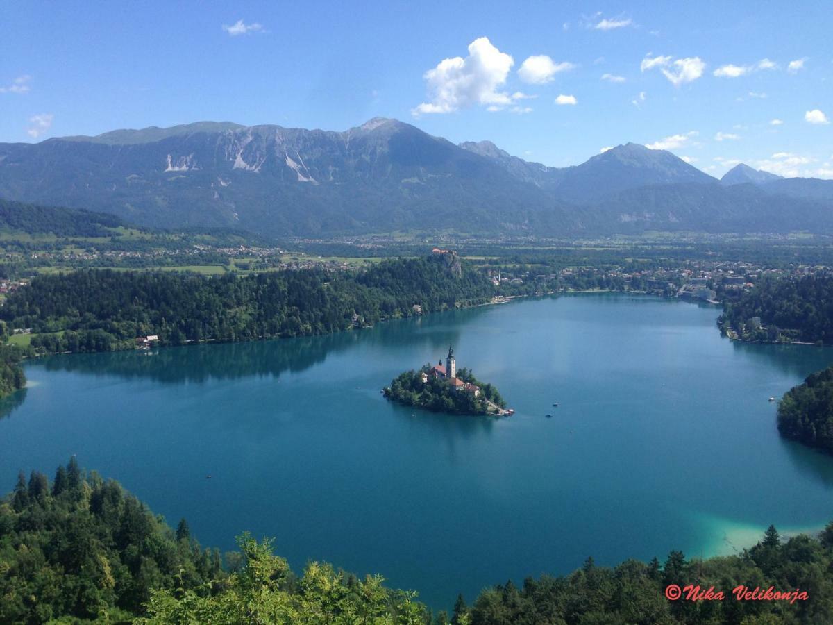 Mountain View Glamping Dovje Exterior foto