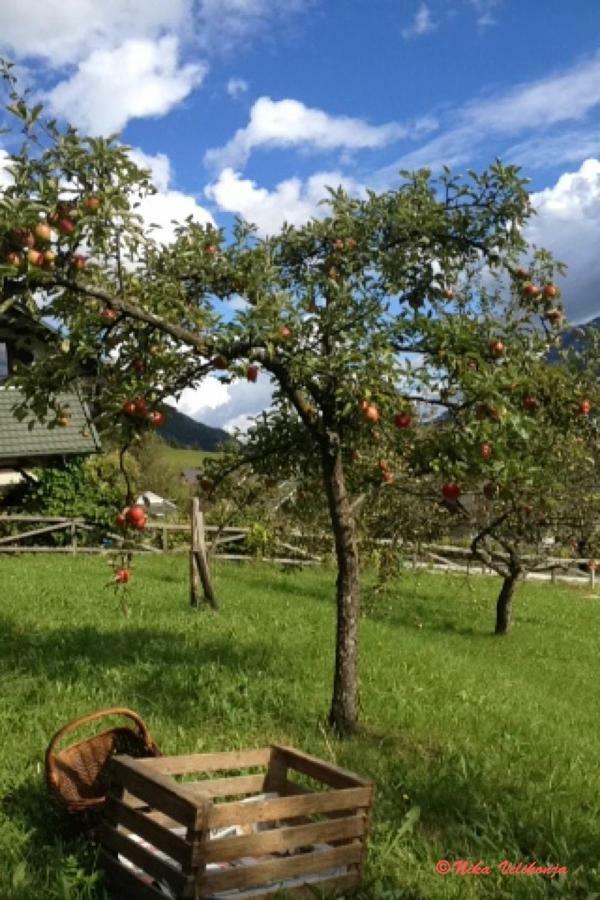 Mountain View Glamping Dovje Exterior foto